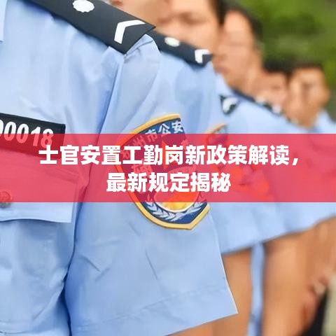 士官安置工勤岗新政策解读，最新规定揭秘