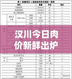 汉川今日肉价新鲜出炉，最新价格报告汇总