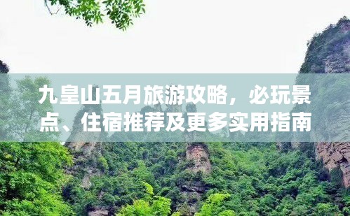 飞扬拨扈