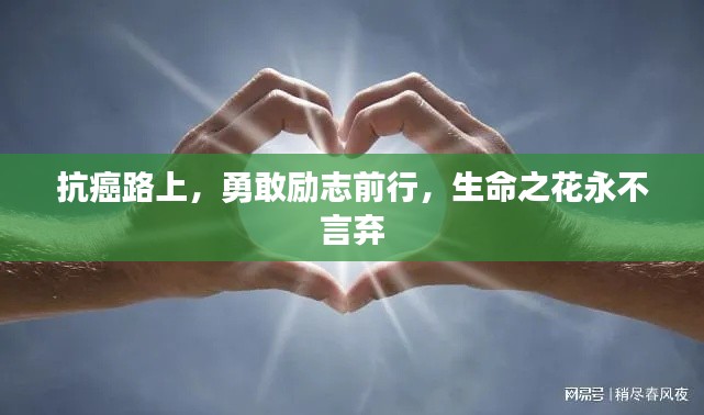 逆风飞扬