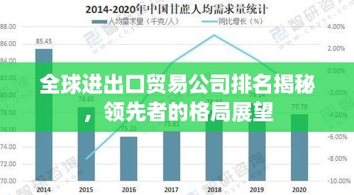 全球进出口贸易公司排名揭秘，领先者的格局展望
