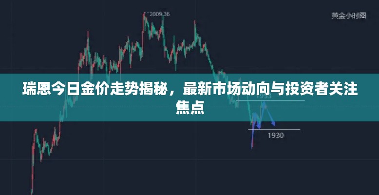 瑞恩今日金价走势揭秘，最新市场动向与投资者关注焦点