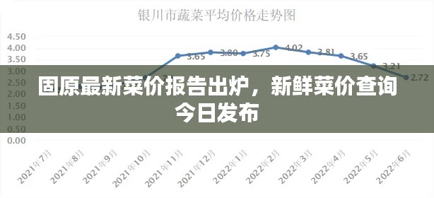 固原最新菜价报告出炉，新鲜菜价查询今日发布
