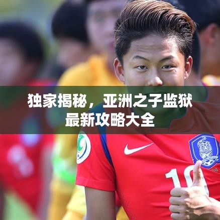 独家揭秘，亚洲之子监狱最新攻略大全