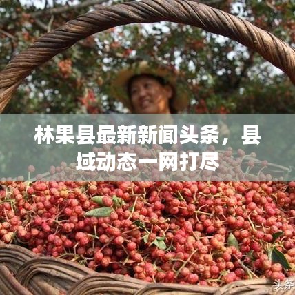 林果县最新新闻头条，县域动态一网打尽