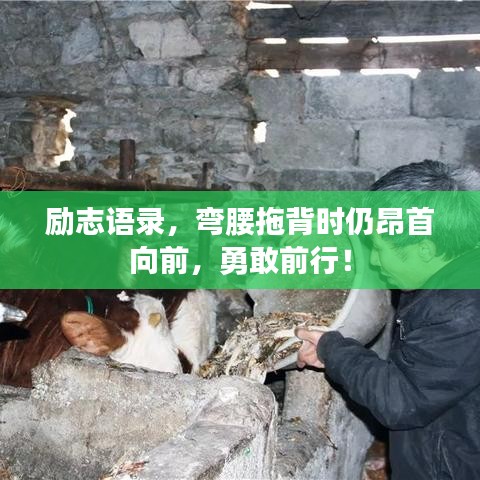 励志语录，弯腰拖背时仍昂首向前，勇敢前行！