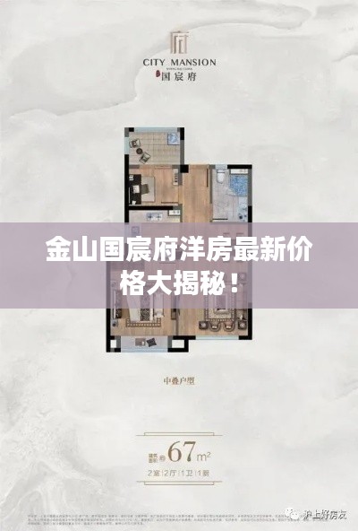 金山国宸府洋房最新价格大揭秘！
