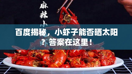 百度揭秘，小虾子能否晒太阳？答案在这里！