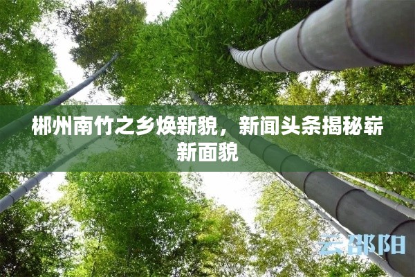 郴州南竹之乡焕新貌，新闻头条揭秘崭新面貌