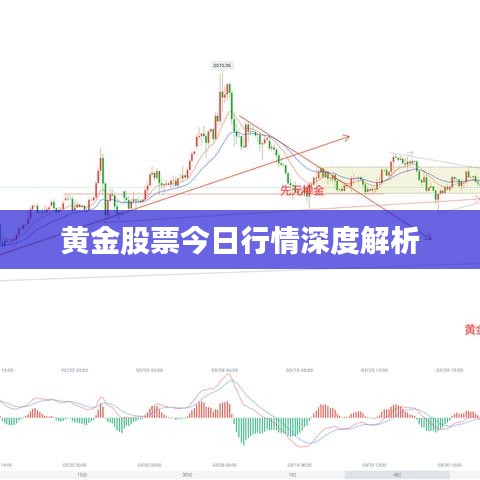 黄金股票今日行情深度解析