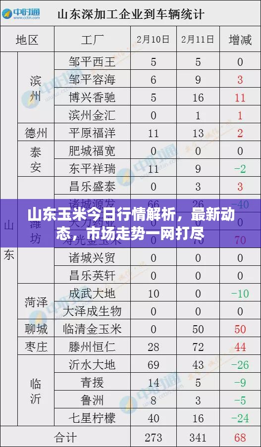 山东玉米今日行情解析，最新动态，市场走势一网打尽