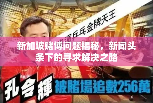 新加坡赌博问题揭秘，新闻头条下的寻求解决之路