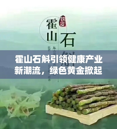 霍山石斛引领健康产业新潮流，绿色黄金掀起健康革命！