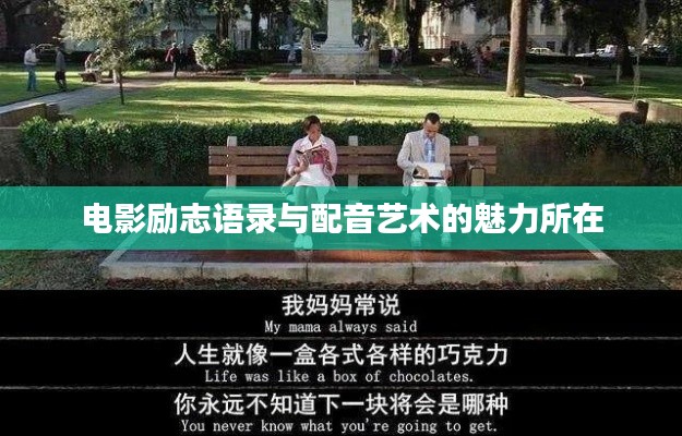 电影励志语录与配音艺术的魅力所在