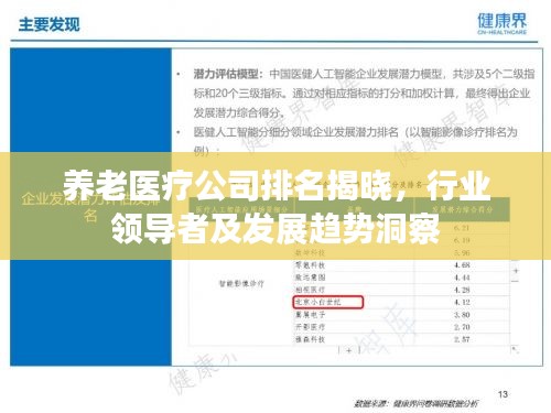 养老医疗公司排名揭晓，行业领导者及发展趋势洞察