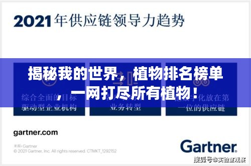 揭秘我的世界，植物排名榜单，一网打尽所有植物！