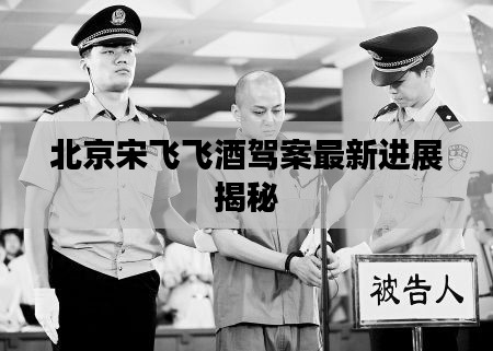 北京宋飞飞酒驾案最新进展揭秘