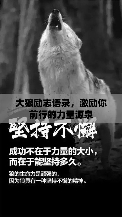 大狼励志语录，激励你前行的力量源泉
