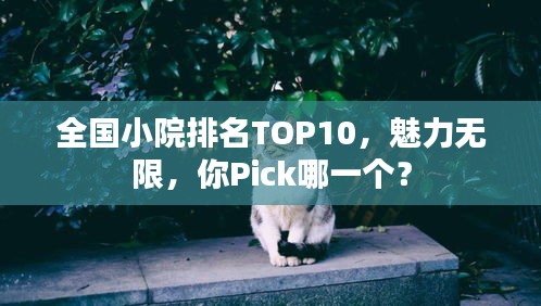 全国小院排名TOP10，魅力无限，你Pick哪一个？