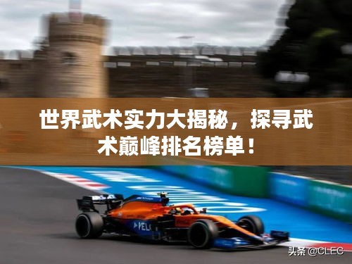 世界武术实力大揭秘，探寻武术巅峰排名榜单！