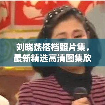 刘晓燕搭档照片集，最新精选高清图集欣赏