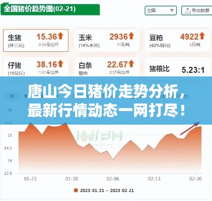 人才招聘 第9页