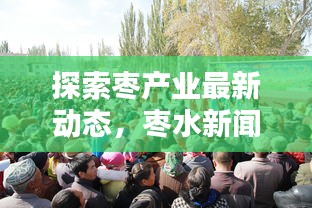 新闻动态 第11页