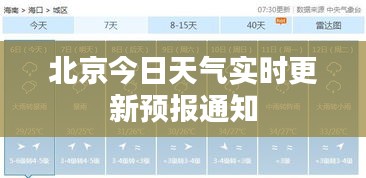 一言九鼎