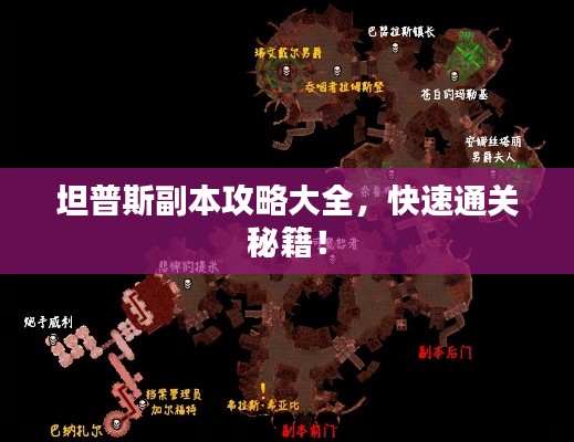 坦普斯副本攻略大全，快速通关秘籍！