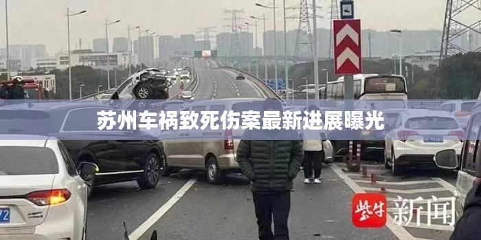 苏州车祸致死伤案最新进展曝光