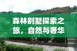 屈尊就卑