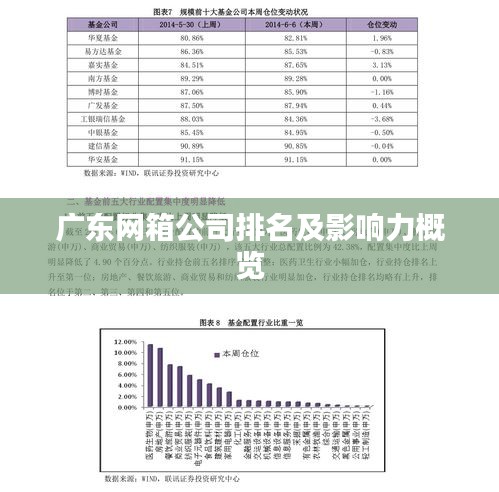 广东网箱公司排名及影响力概览