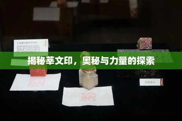 揭秘莘文印，奥秘与力量的探索