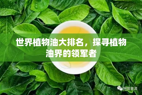 世界植物油大排名，探寻植物油界的领军者