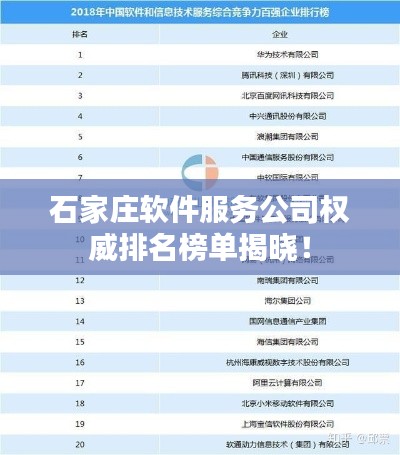 石家庄软件服务公司权威排名榜单揭晓！