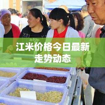 江米价格今日最新走势动态