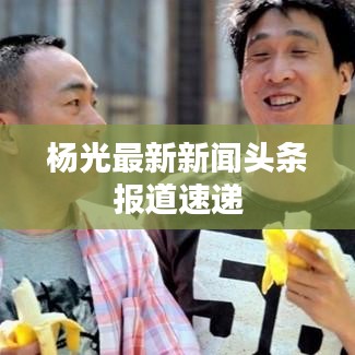 杨光最新新闻头条报道速递