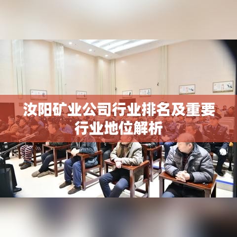 汝阳矿业公司行业排名及重要行业地位解析