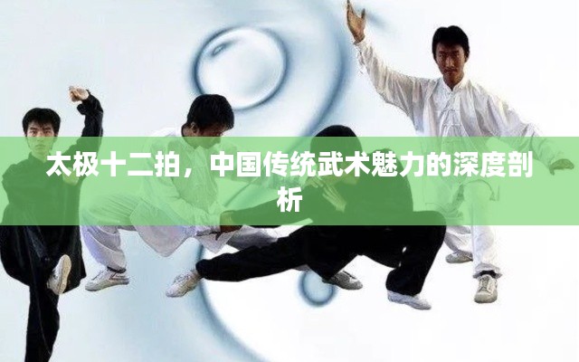 太极十二拍，中国传统武术魅力的深度剖析