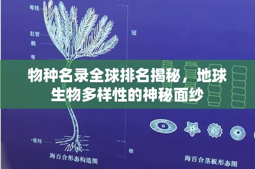 物种名录全球排名揭秘，地球生物多样性的神秘面纱