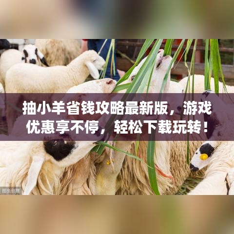 抽小羊省钱攻略最新版，游戏优惠享不停，轻松下载玩转！