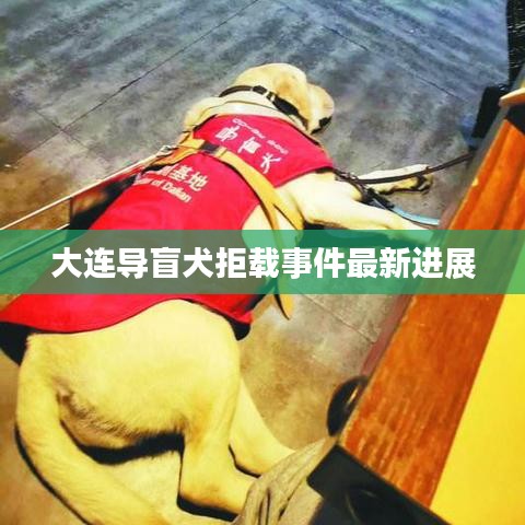 大连导盲犬拒载事件最新进展