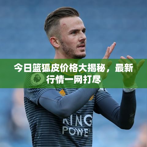 人才招聘 第8页