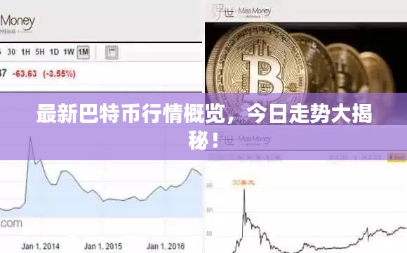 最新巴特币行情概览，今日走势大揭秘！