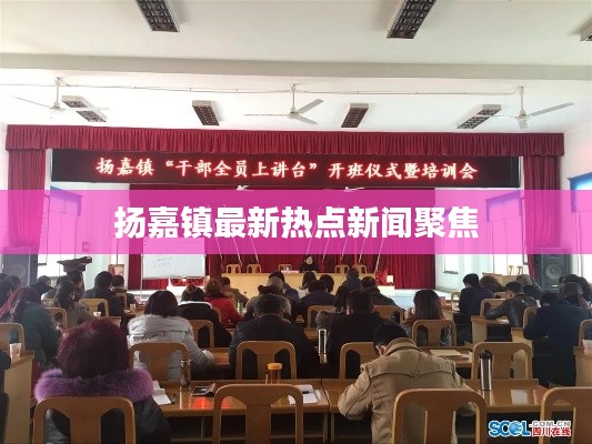 扬嘉镇最新热点新闻聚焦