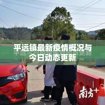 平远镇最新疫情概况与今日动态更新