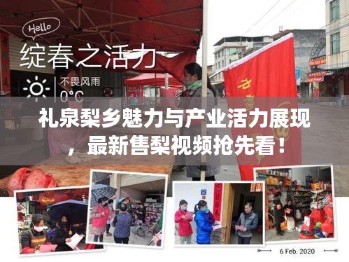 礼泉梨乡魅力与产业活力展现，最新售梨视频抢先看！