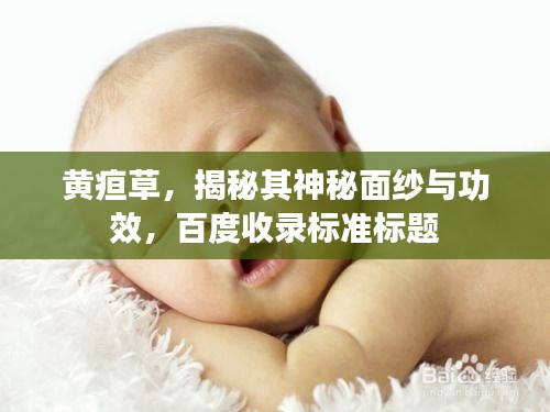 联系我们 第7页