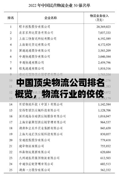中国顶尖物流公司排名概览，物流行业的佼佼者