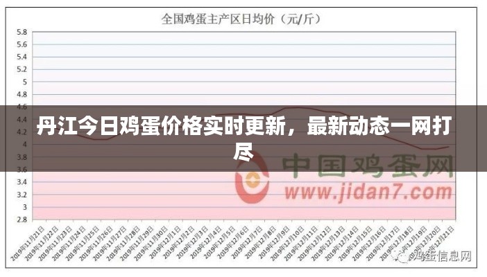 丹江今日鸡蛋价格实时更新，最新动态一网打尽